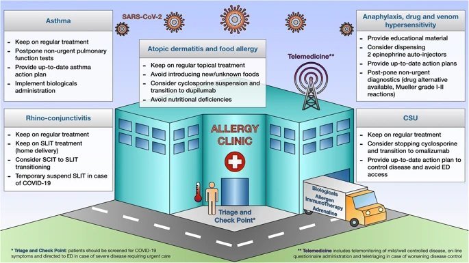 Alergologie - Dr.Claudia Adriana Nicolae